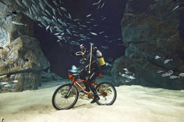 Самая большая подводная глубина, на которой человек проехал на велосипеде, - 66,5 метров. 