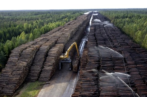 Циклон Gudrun, нанес большой вред лесной промышленности Швеции.