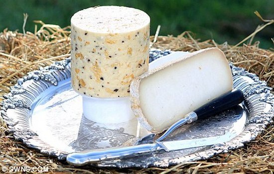 Самый дорогой сыр делают из молока ослиц. Он стоит около 1350 долларов.