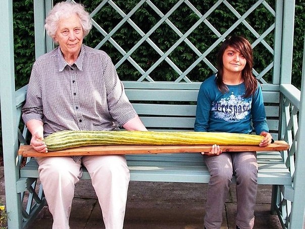 119 см - размер самого длинного огурца в мире. Его вырастила 78-летняя англичанка Клэр Пирс из города Питерборо.
