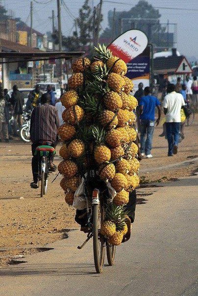 Ловкий продавец ананасов