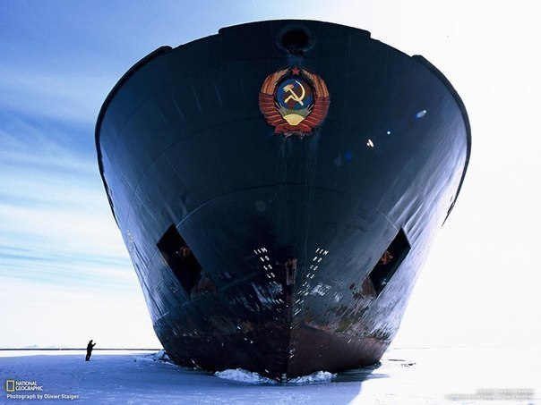 Человек рядом с российским ледоколом «Капитан Хлебников» у восточного побережья Антарктиды.