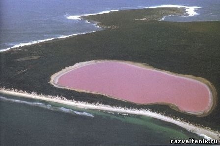До сих пор не понятно, почему озеро Хильер в Западной Австралии розового цвета.