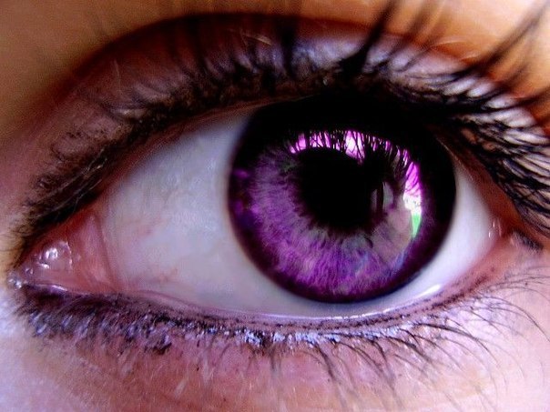 Фиолетовый цвет глаз имеют люди, которые подверглись генетической мутации, носящей название «происхождение Александрии». При рождении такие люди обладают обычным цветом глаз – синим или серым. Но после полугода цвет глаз начинает меняться в сторону фиолетового. Этот процесс занимает порядка шести месяцев.