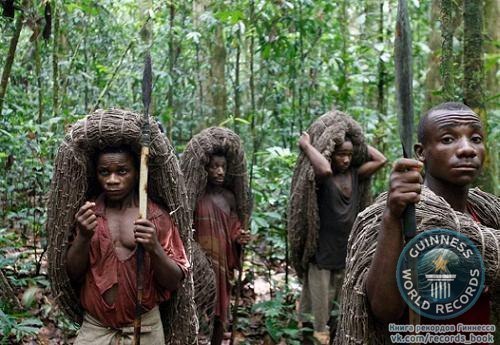 Самые низкорослые пигмеи — это мбутси из Конго. У мужчин средний рост составляет 1,37 м, а у женщин — 1,35 м.