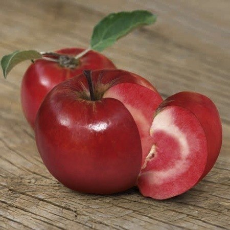 20 лет напряженного труда потребовалось швейцарскому селекционеру Маркусу Коберту, чтобы вывести уникальный гибрид помидора и яблока Redlove – в продаже уже с будущего года.