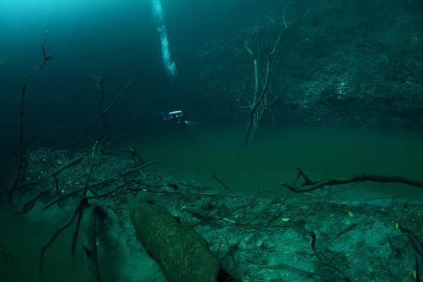 В мексиканской пещере Cenote Angelita, на глубине 30 метров есть подводная река. На самом деле это течение соленой воды в толще пресной. Великолепное зрелище!