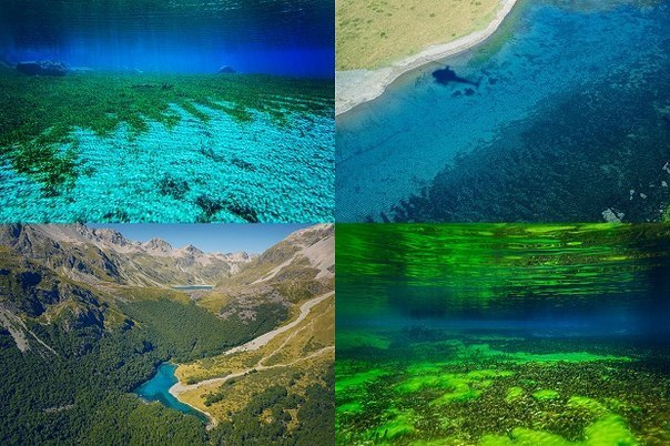Глубина видимости самого чистого озера в мире, расположенного на Южном острове Новой Зеландии, составляет 76 метров. Озеро находится в природоохранной зоне с ограниченным доступом. Входить в воду озера, не говоря уже о дайвинге, запрещено.