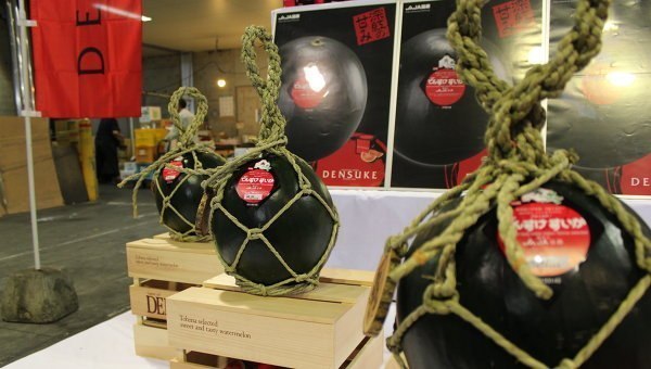 Черный арбуз знаменитого сорта "Дэнсукэ" ушел с молотка в Японии за 300 тысяч иен. Арбузы "Дэнсукэ" отличаются неповторимым черным цветом кожуры и ярко-красной сахарной мякотью.