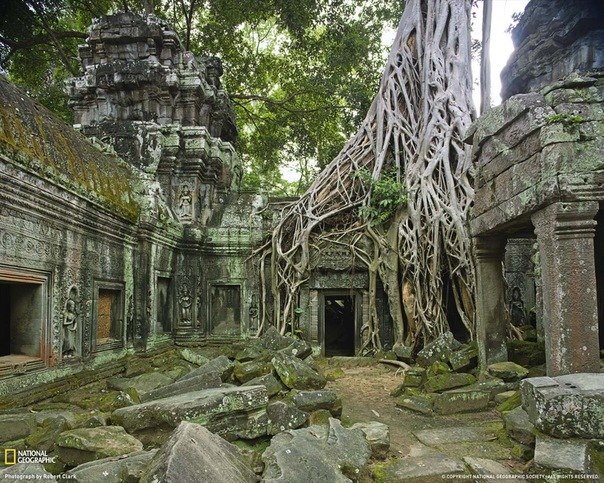 Храм Та Прум, Камбоджа, основан в конце 12 века.