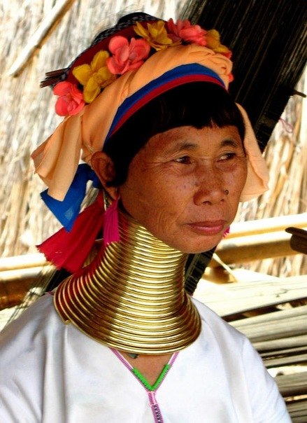 В Бирме проживает племя падаунги, женщины которого отличаются от всех женщин на свете. Их шеи, обвитые толстыми медными спиралями, достигают 30—40 сантиметров в длину.