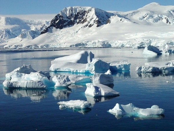 Антарктика официально не является государством, это научный заповедник.