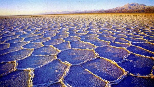 Одно из немногих мест, где ни разу за всю историю не было зарегистрировано факта дождя – это пустыня Атакама в Чили.