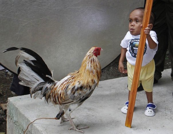 Житель Филиппин признан самым маленьким человеком в мире. Рост 18-летнего Джунри Балуинга составляет всего 60 сантиметров.