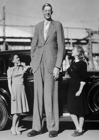 Самый большой человек в мире, который когда-либо жил на планете. К сожалению, Роберт Вадлоу прожил только 22 года (1918-1940).