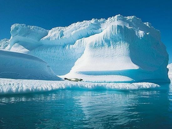 Северный Ледовитый океан самый маленький и самый мелкий океан в мире. Его основное покрытие это сплошной лед, льдины и айсберги.