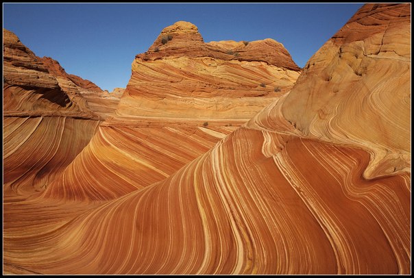 The Wave - природная галерея "Волна" из скал и песка, США