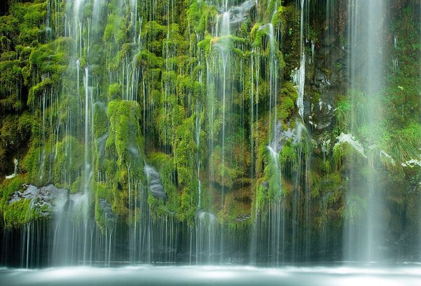 Мосбрай - уникальный водопад. Вода льется каскадом вниз по мшистым стенам каньона в реку Сакраменто, Калифорния