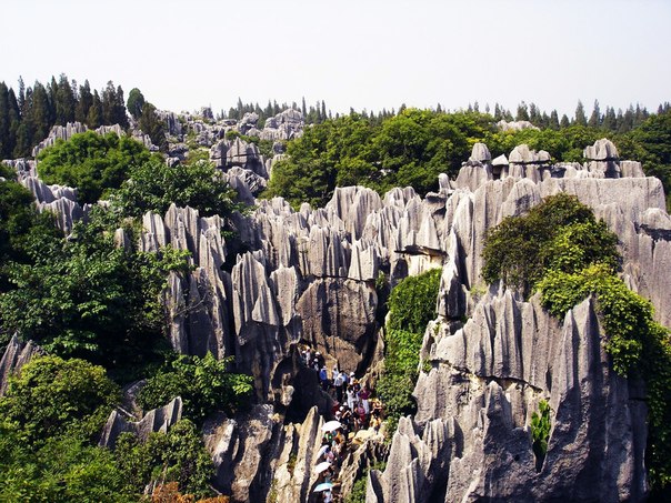 Каменный лес в провинции Юньнань, Китай