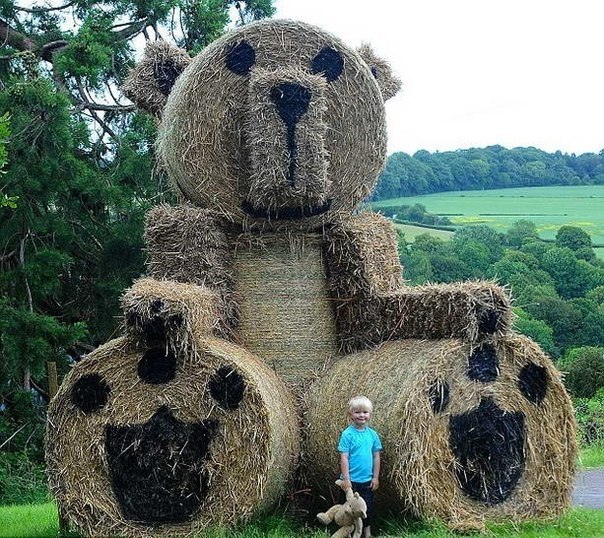 Английский фермер Фрейзер Бриттон из Глостершира построил самого большого в мире игрушечного мишку из свежескошенной соломы, высотой около 5,5 метра и весом около тонны.