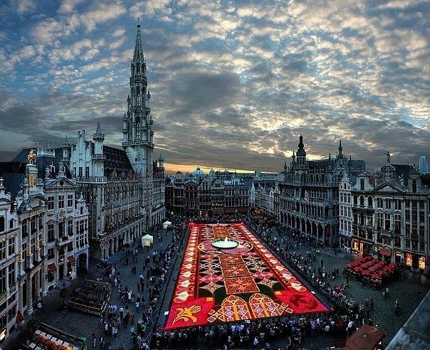Брюссель, Бельгия (самый большой ковер из цветов в мире).