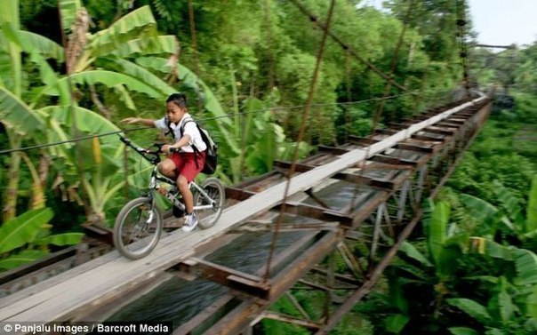 Индонезия, мост, по которому дети добираются в школу.