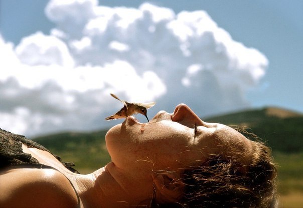 Колибри пьёт изо рта у женщины во время сильной засухи в штате Вайоминг в 2012 году.