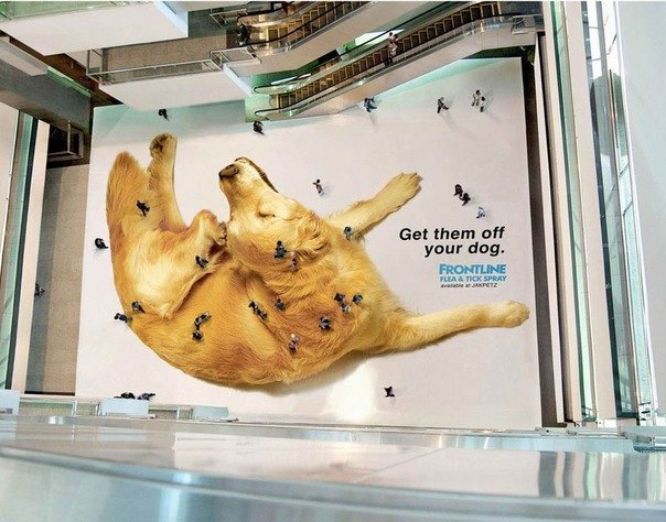 Реклама средства против блох, размещенная на полу одного из торговых центров в Джакарте, Индонезия.