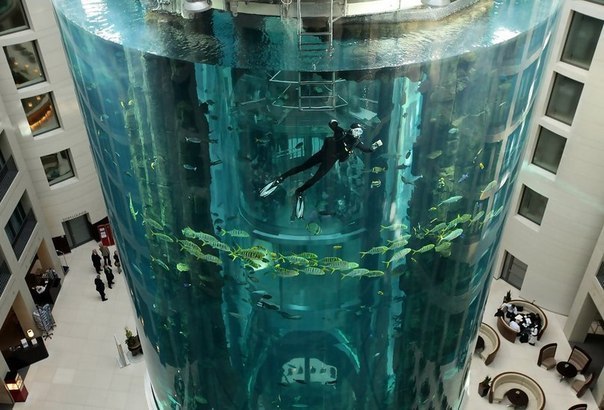 AquaDom – это 25-метровый аквариум в отеле Radisson SAS Hotel (Берлин), внутри которого находится прозрачный лифт.