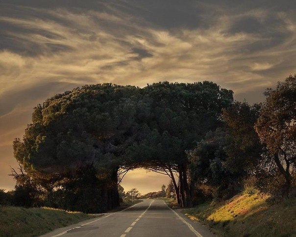 Дорога в Феррейра-ду-Алентежу, Португалия.