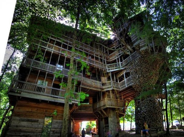 Крупнейший в мире Дом на дереве имеет площадь 930 кв м и опирается на 6 деревьев.