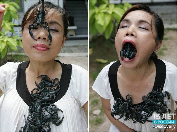 Канчану Каеткау, живущая в Таиланде, известна не иначе как "Королева скорпионов".