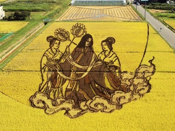 Японцы - очень изобретательный народ. Даже такое скучное занятие, как выращивание риса, они превратили в настоящее искусство!