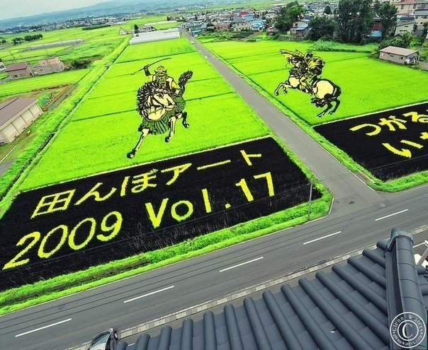 Японцы - очень изобретательный народ. Даже такое скучное занятие, как выращивание риса, они превратили в настоящее искусство!