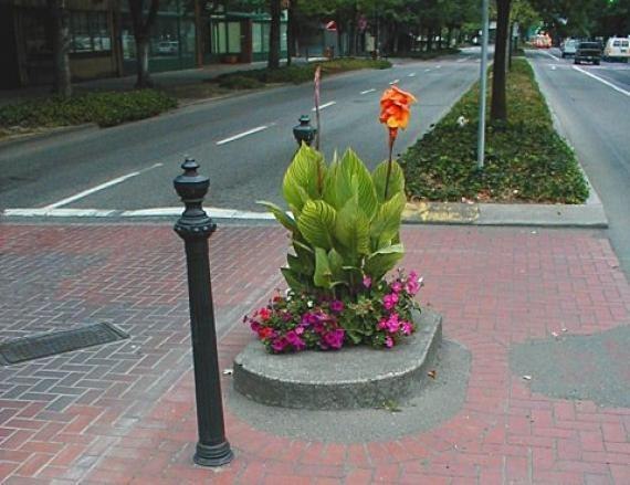 Милл Эндс Парк — миниатюрный городской парк в американском городе Портленд, штат Орегон. Представляет собой «круг» на пересечении двух улиц с растительностью внутри него, диаметром 0,61 м и площадью 0,292 кв. м. Является самым маленьким парком в мире (официально признан таковым в 1971 году и внесён в Книгу рекордов Гиннеса).