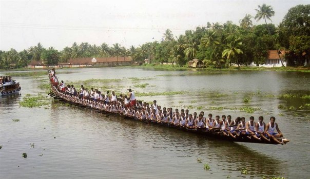 «Змеиная лодка» из Алеппи, Керала, Индия, составляет 43,7 метра в длину. Ее команда состоит из 143 человек, включая 118 гребцов, 2 барабанщика, 5 кормчих и 18 певцов. Лодка появилась на публике в Керала, Индия