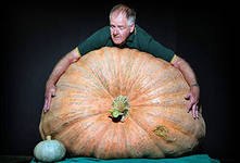 Самые большие овощи в мире