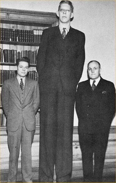 Самым-же высоким в истории человеком считается американец Роберт Вадлоу.Он страдал такой же проблемой гипофиза – непрекращающегося роста. Его рост был 2 метра 72 сантиметра. Прожил Роберт всего 22 года.Он начал стремительно расти с четырех лет, а в восемь уже был – 188 сантиметра. В 10 лет он весил 100 килограмм и был высотой в 1 метр 98 сантиметров. В 18 лет Роберт достиг планки в 2 метра 54 сантиметра.