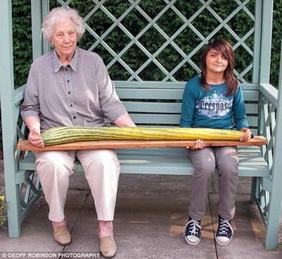 Рекорд: Самый длинный огурец в мире