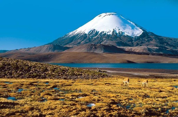 Охос Дель Саладо является высочайшим вулканом на Земле. Его высота составляет 6 893 метра.