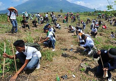 Наибольшее количество одновременно высаженных деревьев 64096 саженцев разных видов деревьев было высажено на участке в 32 гектара 23 февраля 2011 года на Филиппинах. В проекте приняли участие 6893 человека.
