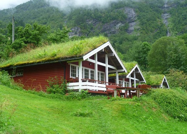 Травяные крыши домов в Норвегии