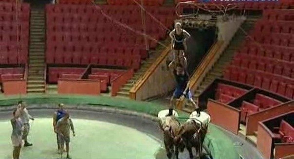 Эдгард Запашный установил рекорд Книги Гиннеса на движущихся лошадях