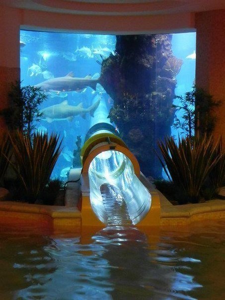 Водная горка, проходящая сквозь огромный аквариум c акулами. Golden Nugget Hotel, Las Vegas