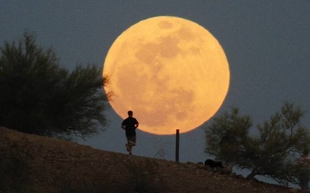 Меньше чем через месяц. 23 июня ваш летний вечер скрасит "cуперлуние".То есть в этот день Луна будет самой большой и яркой в этом году.Луна окажется на расстоянии всего 357 тыс.км,а ее видимый диаметр достигнет почти 33,5 минуты дуги. А пока вспомним какое "суперлуние" было год назад в мае.