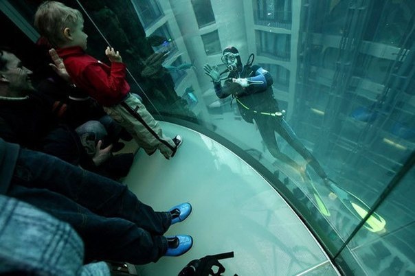В холле берлинского отеля Radisson Blu находится самый большой в мире цилиндрический аквариум –  Аквадом” (Aqua Dom). Его диаметр составляет 11 метров, а высота только стеклянной части – 16 м. Общий вес стекла – около 150 тонн. Внутри аквариума есть прозрачный лифт, вмещающий сорок человек и поднимающий туристов на смотровую площадку. В аквариуме водится около 2000 рыб различных видов, плавающих на разной глубине. Для их кормления и чистки аквариума используются аквалангисты.