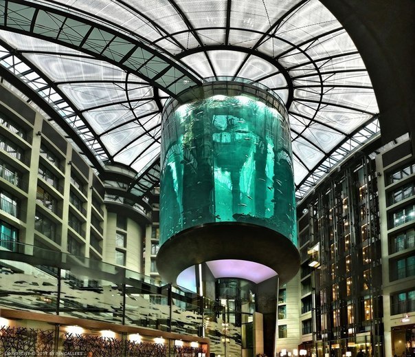 В холле берлинского отеля Radisson Blu находится самый большой в мире цилиндрический аквариум –  Аквадом” (Aqua Dom). Его диаметр составляет 11 метров, а высота только стеклянной части – 16 м. Общий вес стекла – около 150 тонн. Внутри аквариума есть прозрачный лифт, вмещающий сорок человек и поднимающий туристов на смотровую площадку. В аквариуме водится около 2000 рыб различных видов, плавающих на разной глубине. Для их кормления и чистки аквариума используются аквалангисты.
