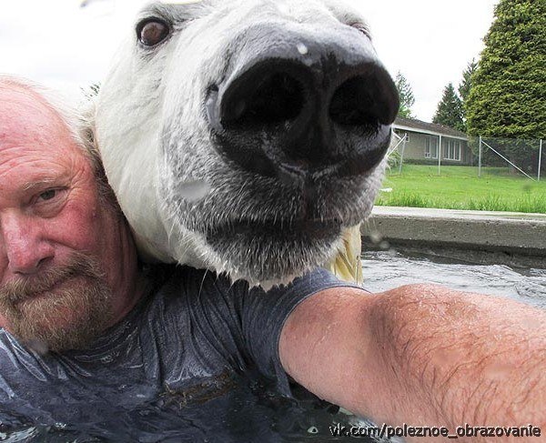 Профессиональный дрессировщик Марк Эббот Думас — единственный человек в мире, способный находиться в такой непосредственной близости от полярного медведя. 