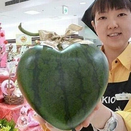 В Китае и Японии впервые появились арбузы сердцевидной, а не шаровидной формы. Как утверждает реклама этих арбузов, такая форма является идеальной для длительного хранения их в холодильнике.