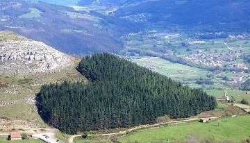 Сердцевидный Лес, Cantabria, Испания